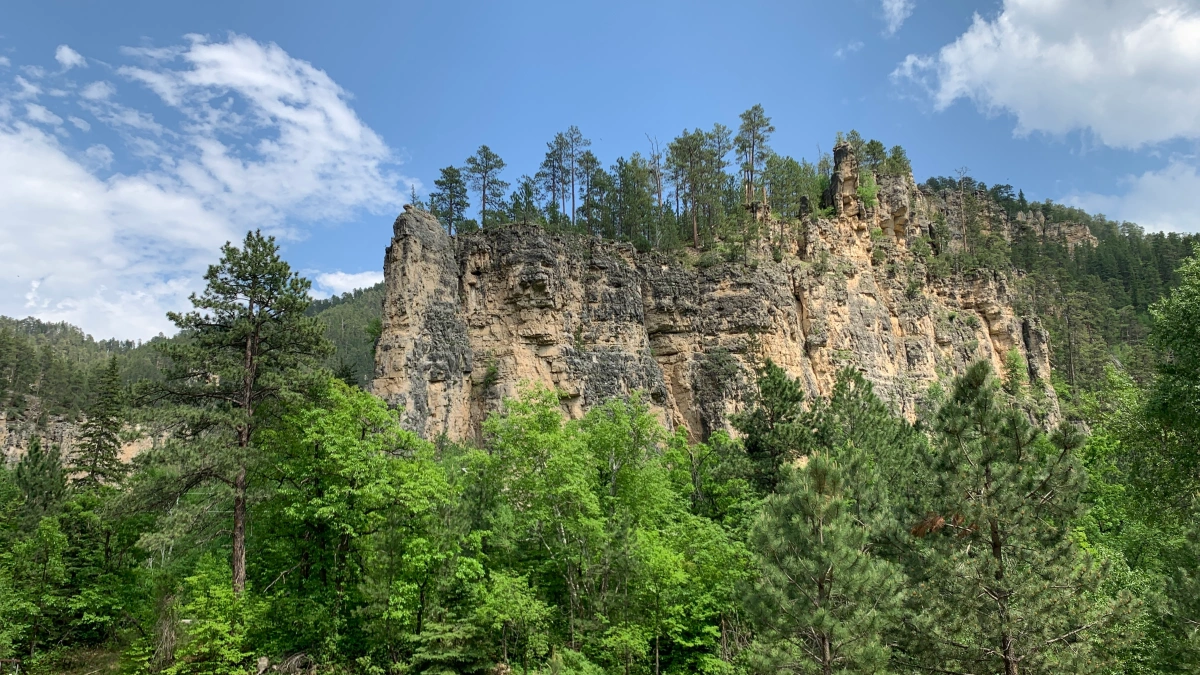 Golden Crest gold drilling project: Black Hills National Forest issued a “Response” to public objections
